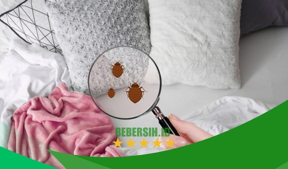 Jasa Cuci Kasur Babelan Jasa Cuci Kasur Babelan