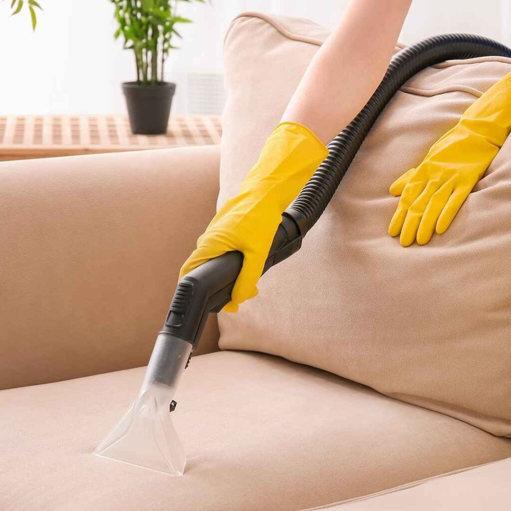 Cleaning Sofa Informa Cleaning Sofa Informa