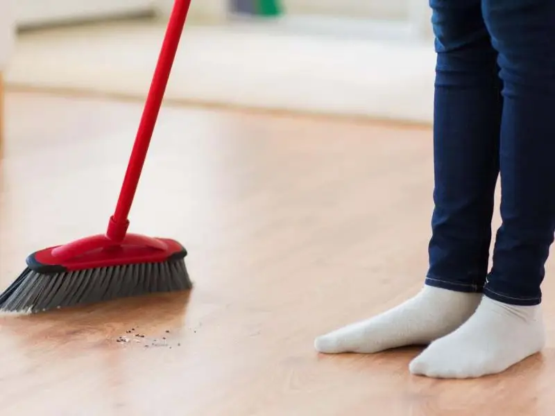 Jasa Bersih Rumah di Menteng